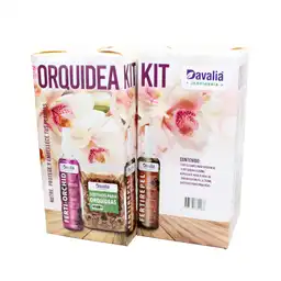 Orquídea kit