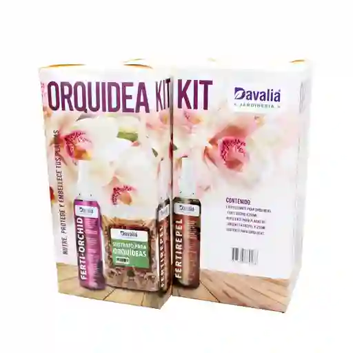 Orquídea kit