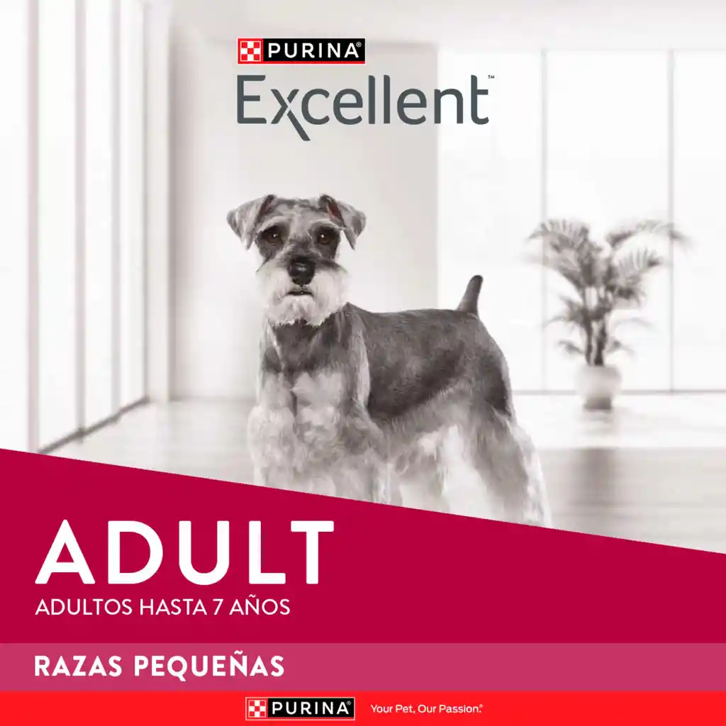 Comida para perros EXCELLENT ADULT Razas Pequeñas x 3 kg