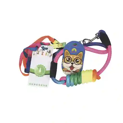 Collar y Correa Arcoíris Talla S