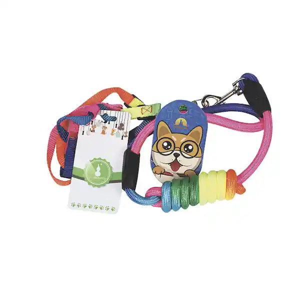 Collar y Correa Arcoíris Talla S