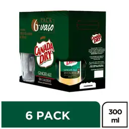 Canada Dry Gaseosa Ginger Ale Sin Caloría