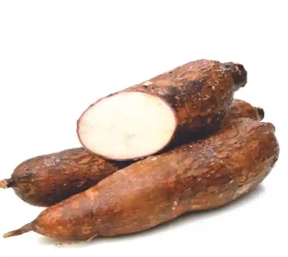 Yuca Tierra Alta