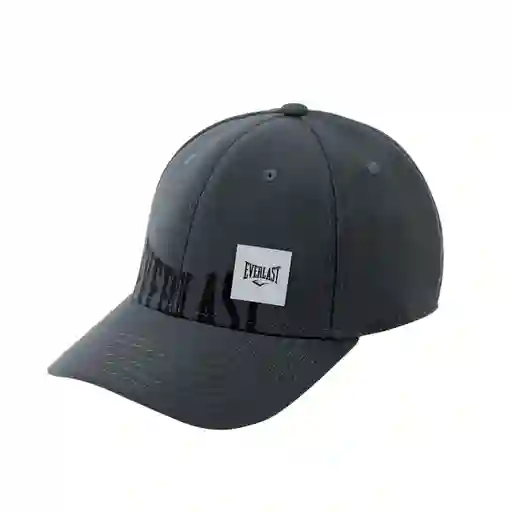 Gorra Sunset Fitted Charcoal Everlast