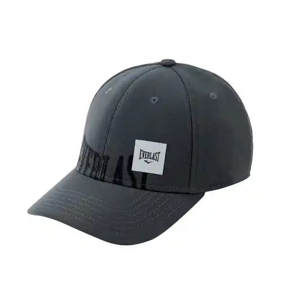 Gorra Sunset Fitted Charcoal Everlast