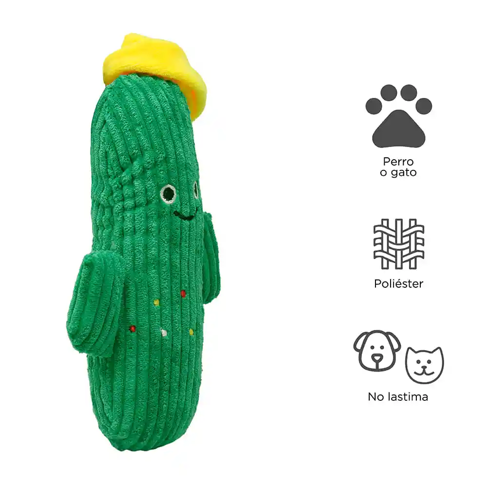 Miniso Peluche Para Mascota Cactus