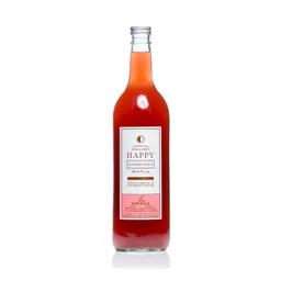 Happy Kombucha Bebida a Base de Té