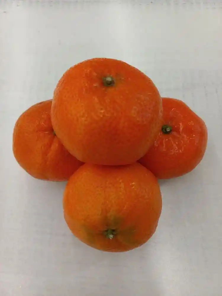 Mandarina Tango