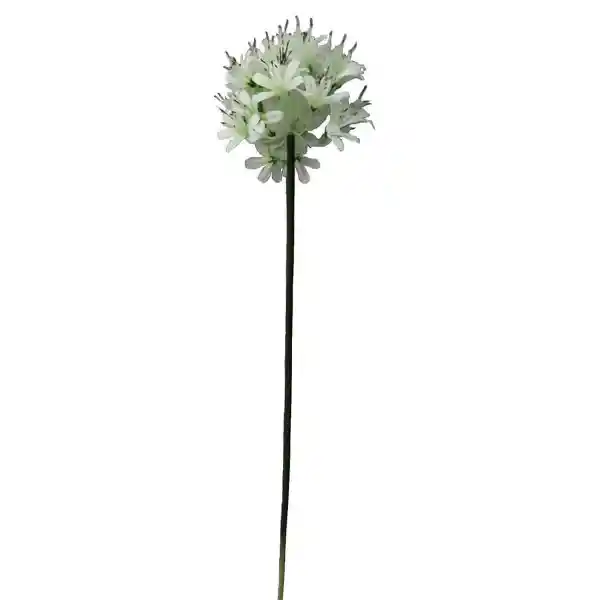 Krea Flor de Pera 74 cm