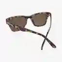 Knockaround Gafas Seventy Tortoise