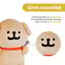 Peluche Entusiasta de la Comida Golden Retriever Maltese Miniso