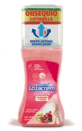 Lozacrem Lavaplatos en Jabón Líquido con Aloe y Rosas