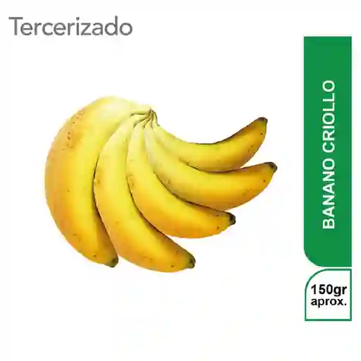 5 x Banano Criollo Turbo