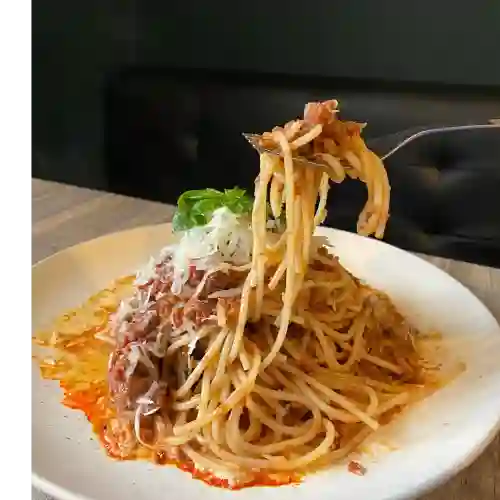 Bolognesa