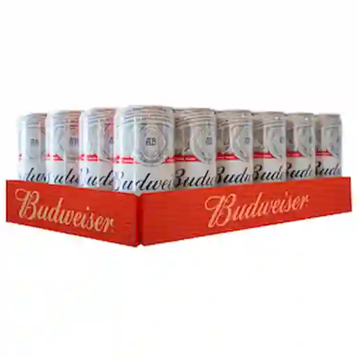 Budweiser Pack Cerveza
