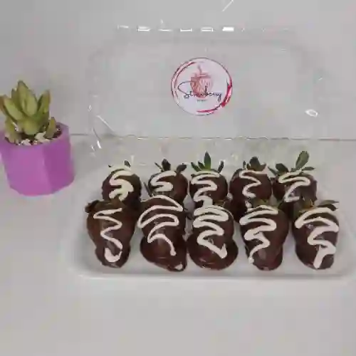 Encanto Hachocolatado