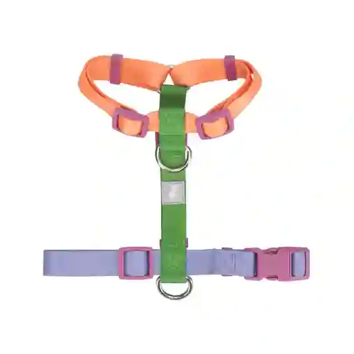 Arnes Para Mascota