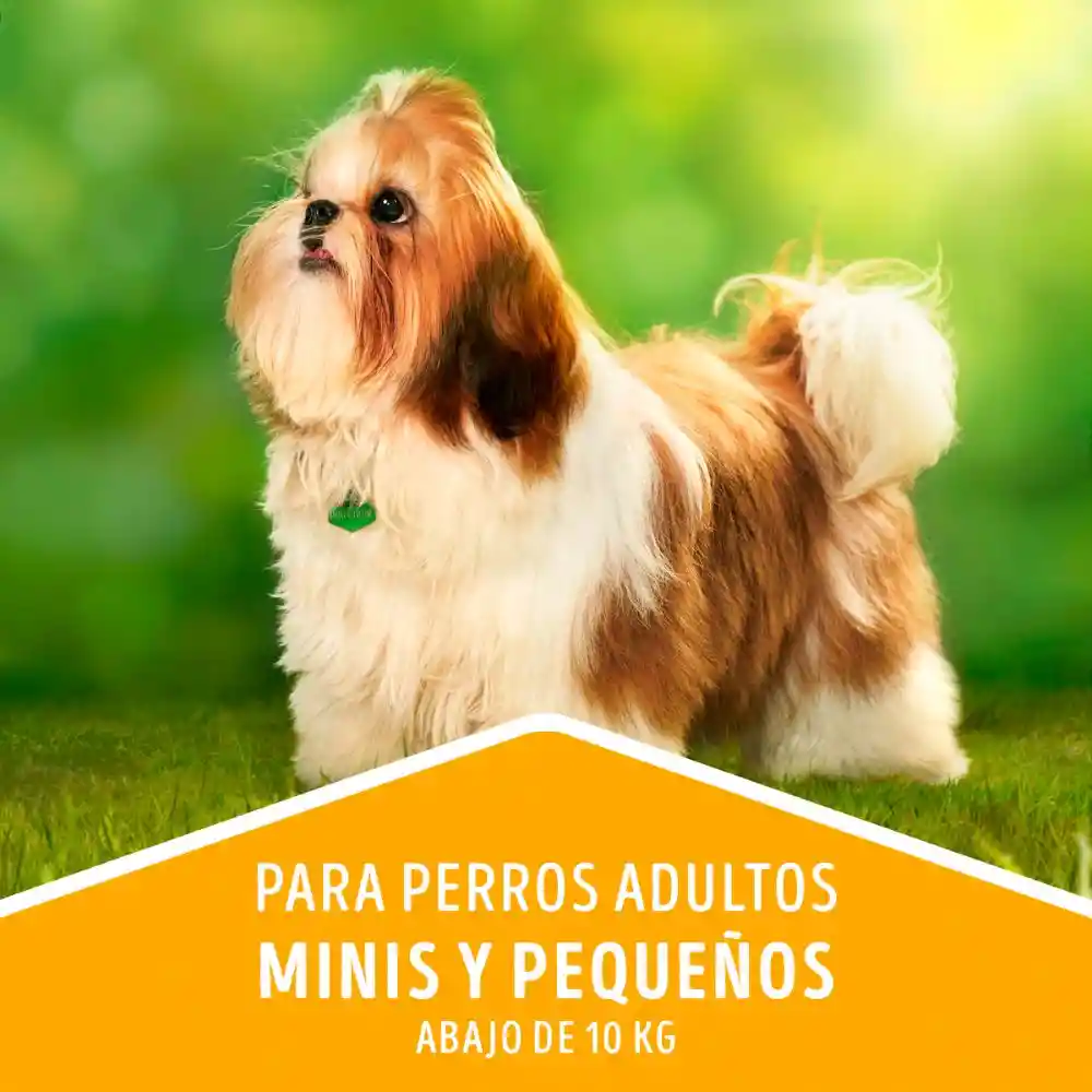 Comida para perro Dog Chow Adulto minis y pequeños x 17 kg