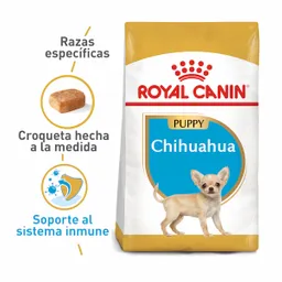 Royal Canin Alimento para Perros Cachorros Chihuahua