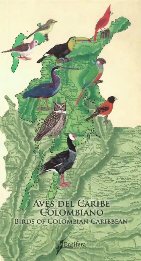 Aves Del Caribe Colombiano