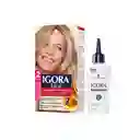 Tinte Igora Vital 9-00 Rubio Extra Claro + Oxigenta Gratis