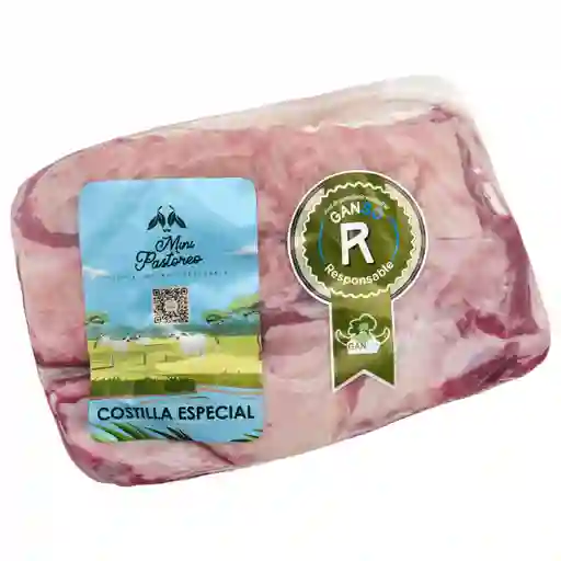 Costilla Big Pack X Kg