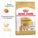 Royal Canin Alimento para Perros Pomeranian