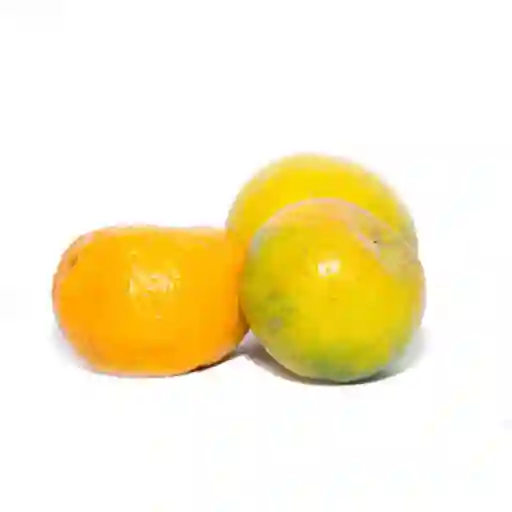 Mandarina Onecco X Kg