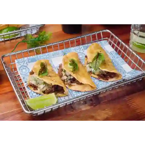 Taco de Birria Plaza Mx