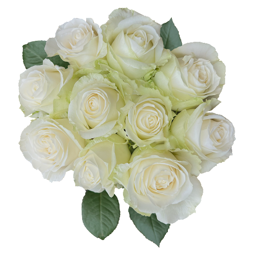 Ramo de Flores El Capirorosas Blancas