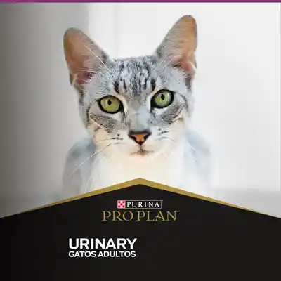 Pro Plan Alimento para Gato Adulto Urinary