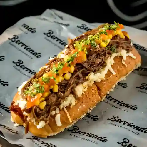 Perro Criollo