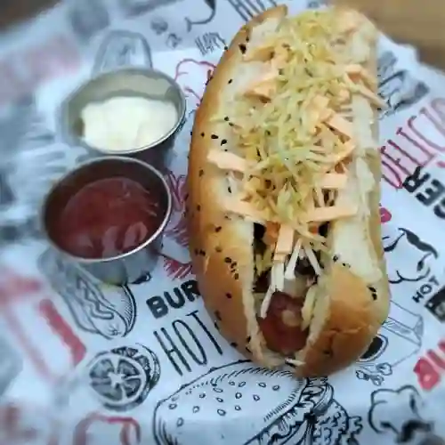 Perro Venezolano