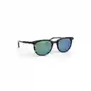 Invicta Gafas Eyewear Unisex Marrón 6983-Pro-5811