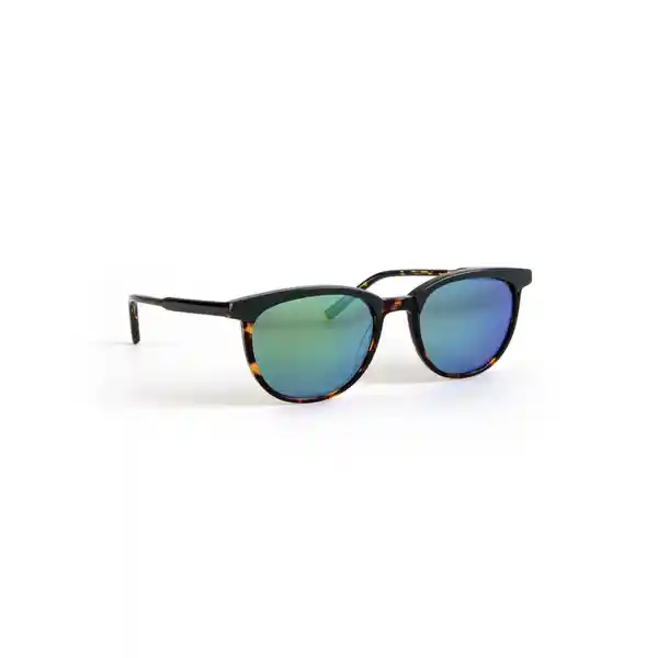Invicta Gafas Eyewear Unisex Marrón 6983-Pro-5811