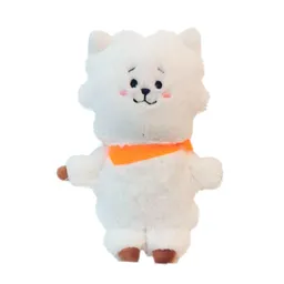 BT21 Peluche Serie RJ