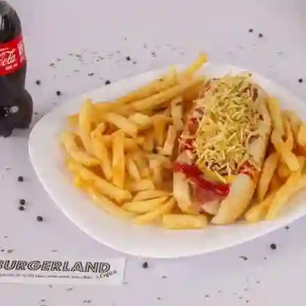 Perro Especial