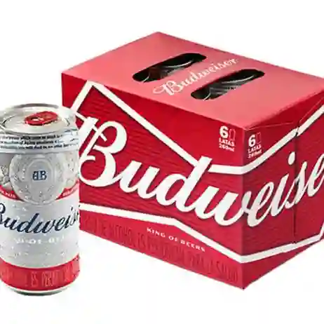 Budweiser Sixpack