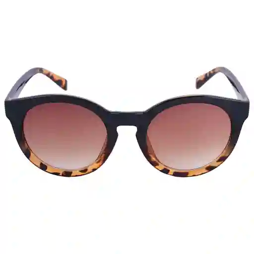 Sun Box Gafa Sol Style