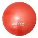 Zenith Bola de Gimnasia Con Inflador 9836