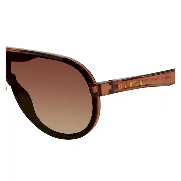 Gafas Para Hombre Color Marrón X17176 Steve Madden