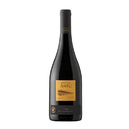 Antu Vino Tinto Syrah