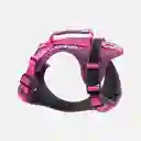 Arnés Para Perro Mountain Morado Felcan