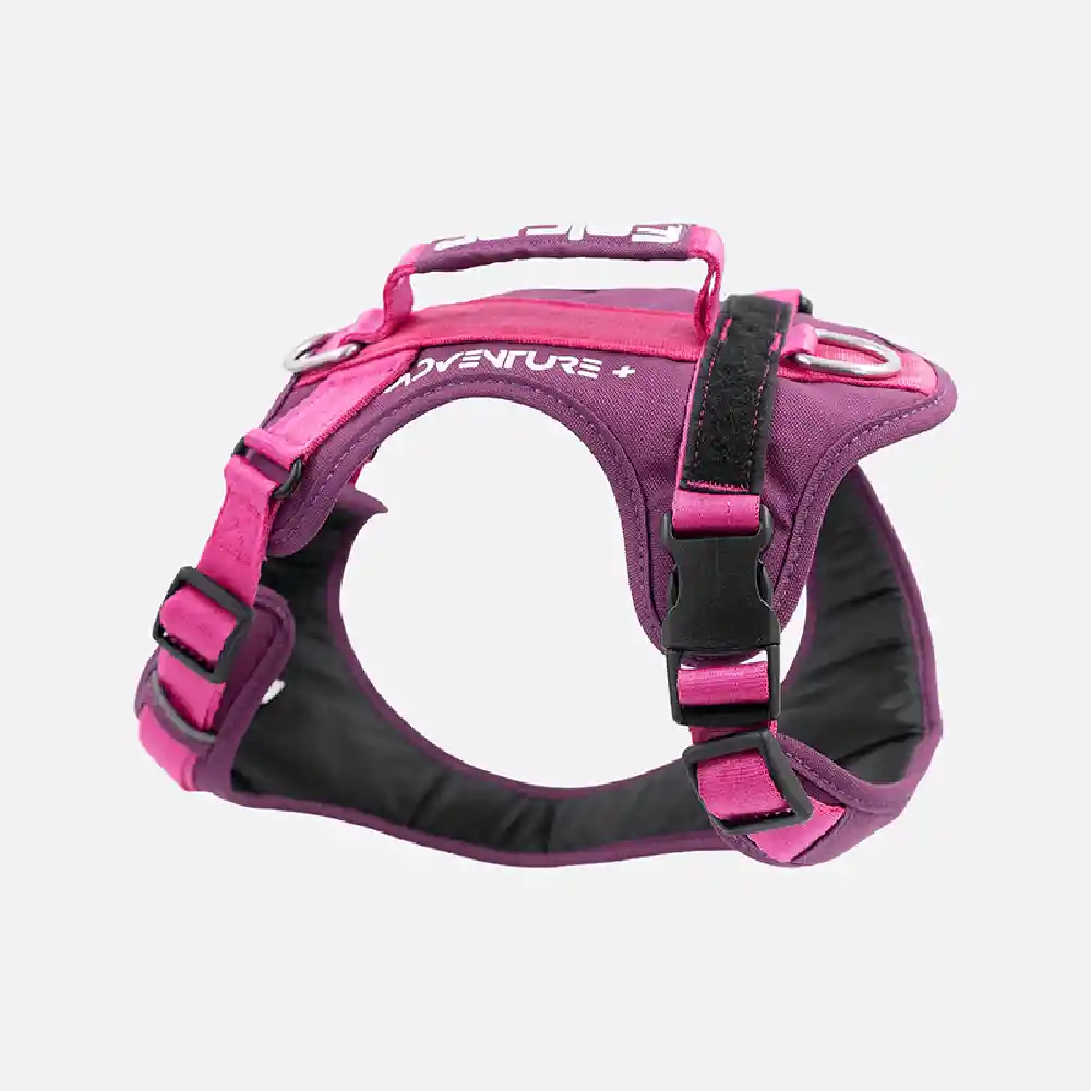 Arnés Para Perro Mountain Morado Felcan