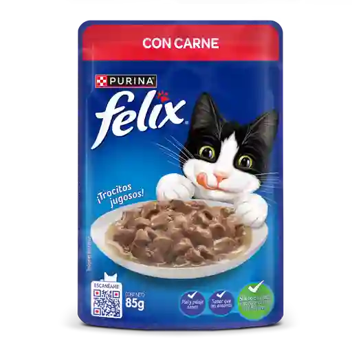 Comida húmeda Purina Felix Carne