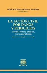 La Acción Civil Por Daños y Perjuicios