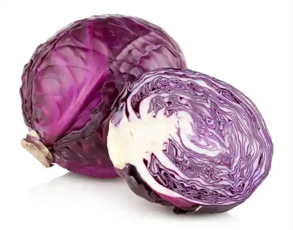 Repollo Morado