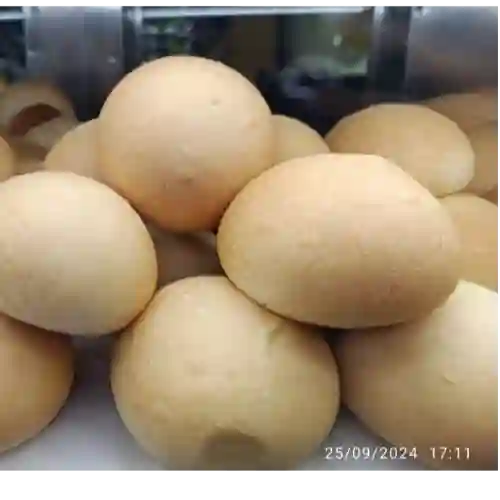 Pan de Leche Bolita