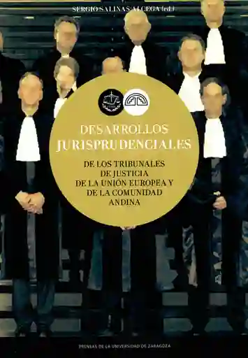 Desarrollos Jurisprudenciales de Los Tribunales de Justicia