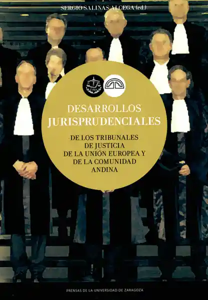 Desarrollos Jurisprudenciales de Los Tribunales de Justicia